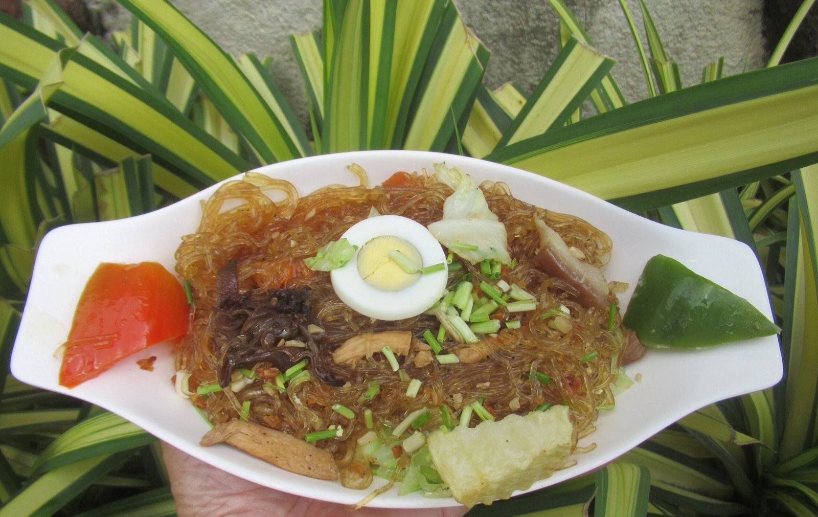 Sotanghon Guisado photo