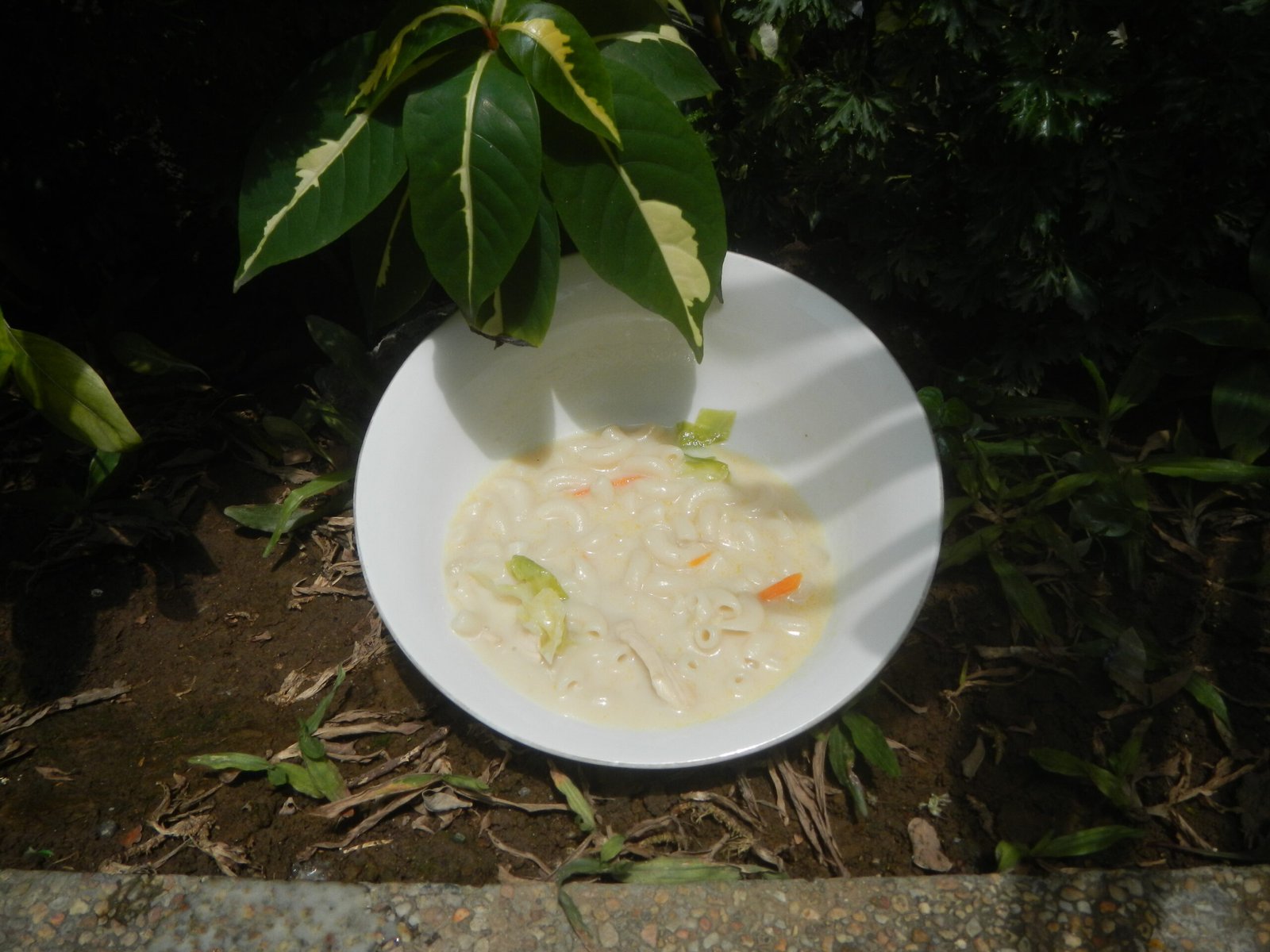Sopas (Filipino Chicken Macaroni Soup) photo